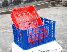 20100222151755559667